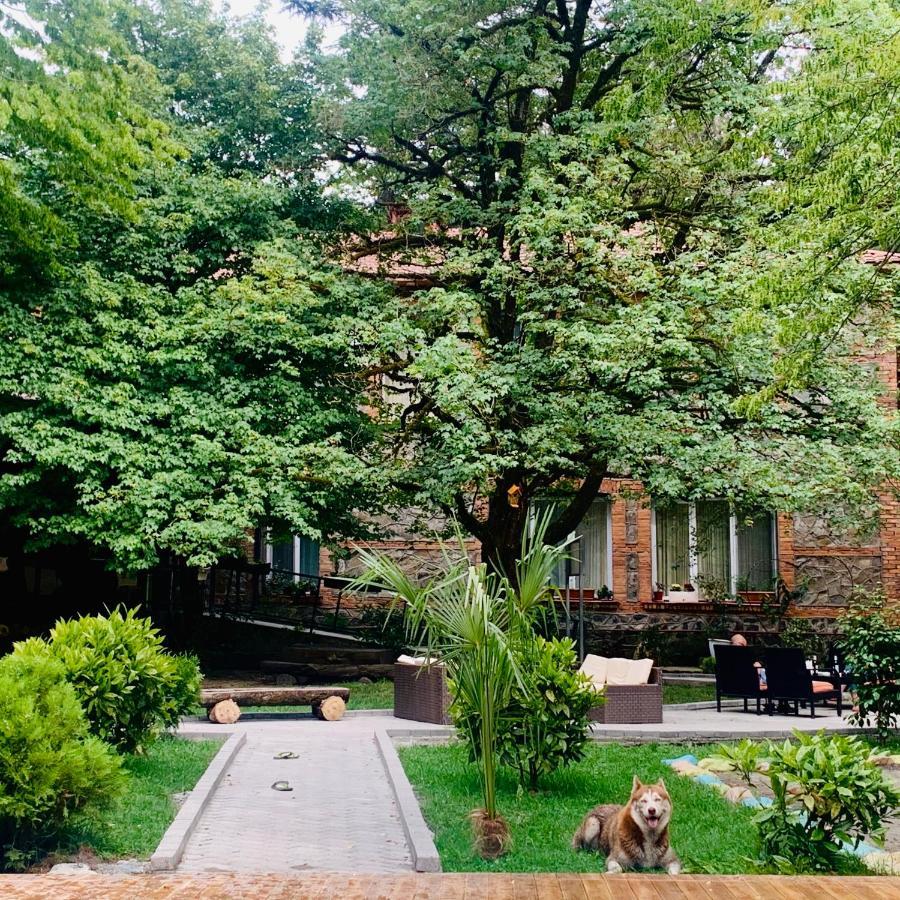 Wald Hotel Lagodekhi Bagian luar foto