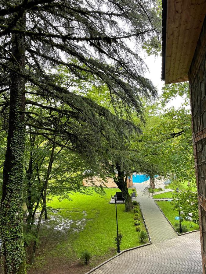 Wald Hotel Lagodekhi Bagian luar foto