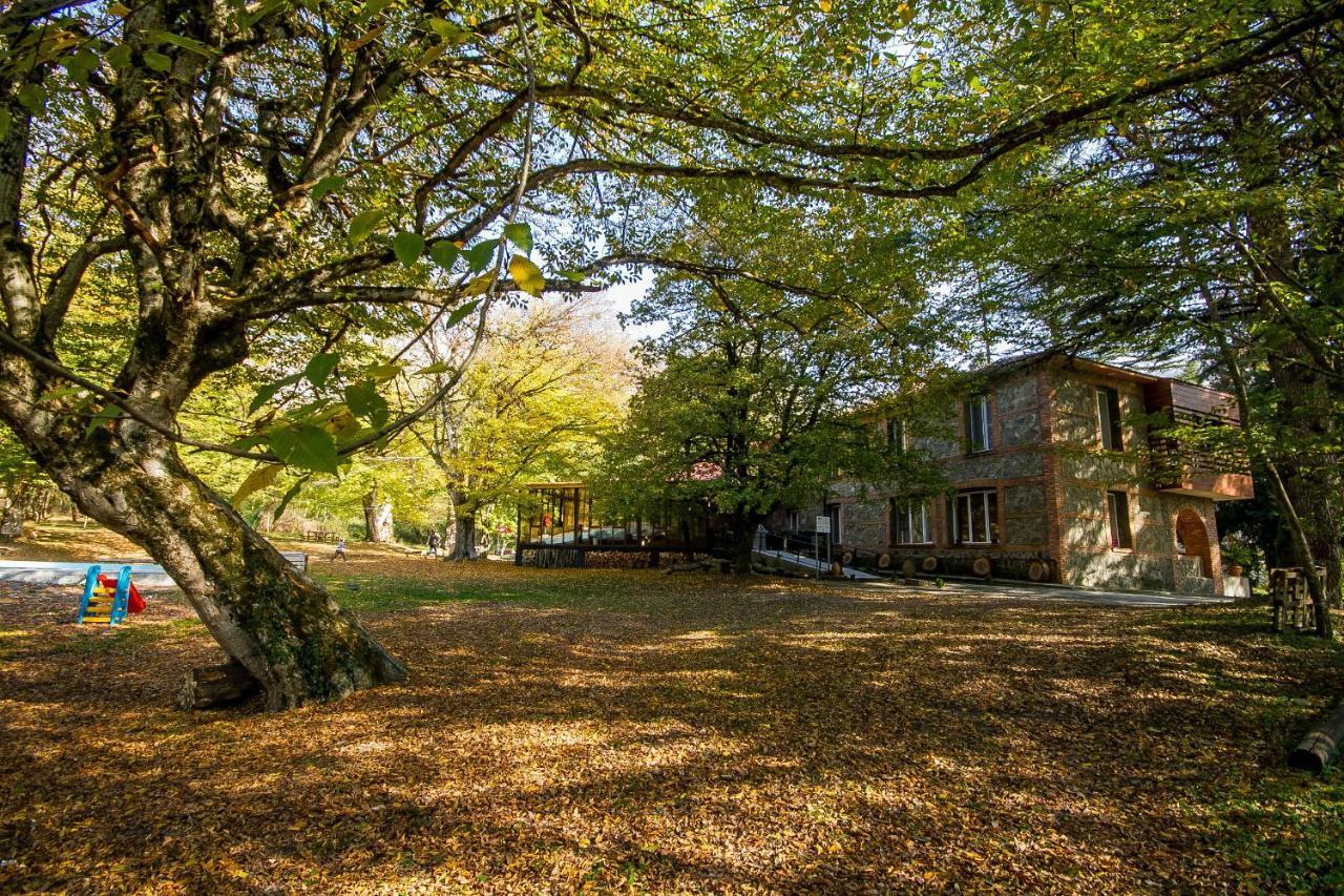 Wald Hotel Lagodekhi Bagian luar foto
