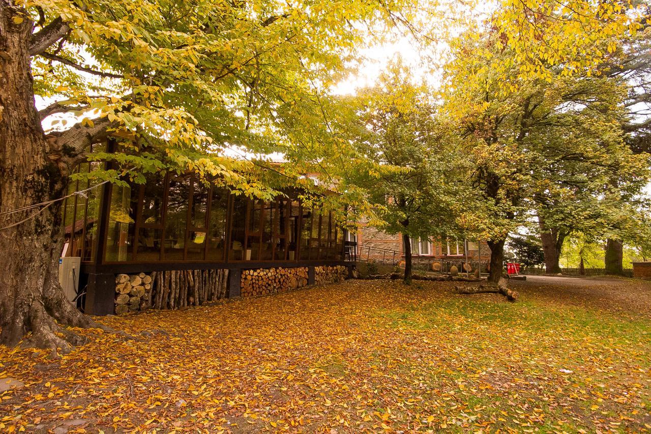 Wald Hotel Lagodekhi Bagian luar foto